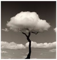 chema-madoz-arbre-nuage.jpg