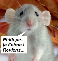 rat-philippe.jpg