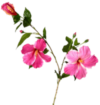 1fleur artificielle Hib