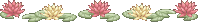 cutecolorsfrogline2