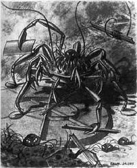 wow-crabe-jacob