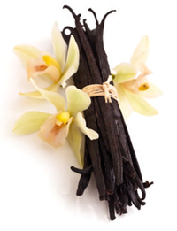 vanille---fleurs-et-gousses.png