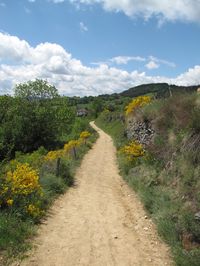 COMPOSTELLE 2011 072