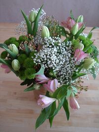 DSC00163.JPG