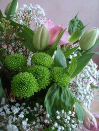 DSC00169.JPG