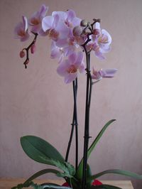 DSC02805.JPG