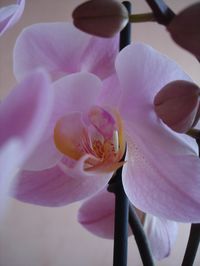 DSC02815.JPG