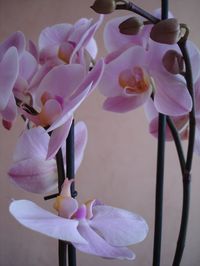 DSC02816.JPG