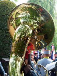 8mai2010-1.jpg