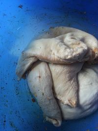 20131027 135138