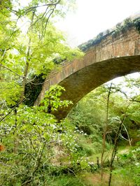 Lugaut pont P1110285r