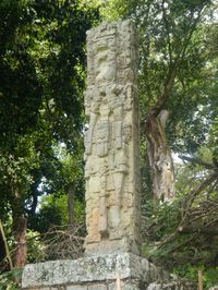 Ruines de Copan 015