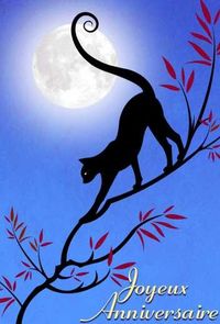 506-Joyeux anniversaire chat et lune maxi