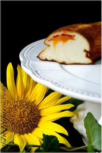 Gâteau Flan aux Abricots Solo 2