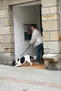 paimpol-21.jpg
