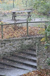 2011-9979.JPG