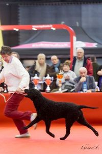 LOULOU-TROYES-RING-.jpg