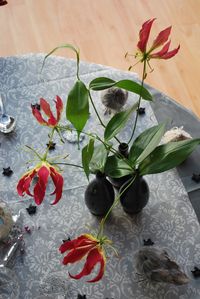 DSC 0061