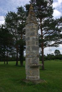 IMGP9854