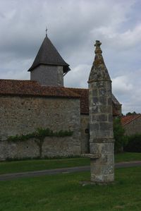 IMGP9856