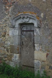 IMGP9862