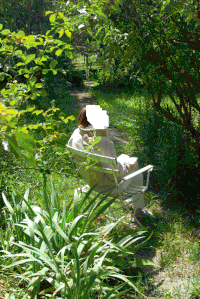 IMGP9469.gif