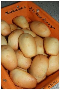 madeleines-oranger-Nath.jpg