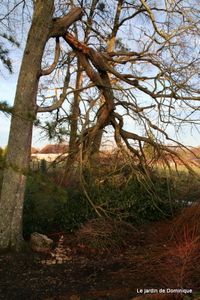 Hiver-et-Noel-2009 2089