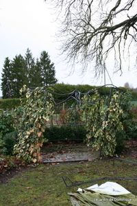 Hiver-et-Noel-2009 2095