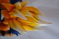 DSC01942