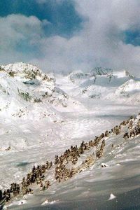 glacier Aletsch