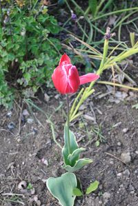 30-0354.JPG
