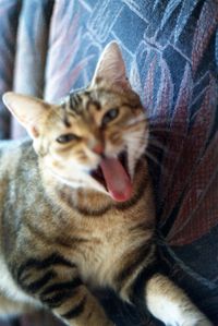 img029.jpg