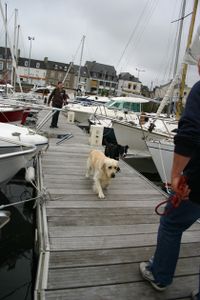 paimpol-56.jpg