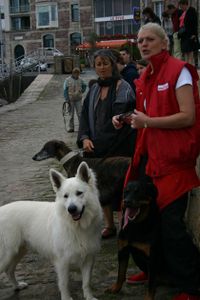 paimpol-81.jpg