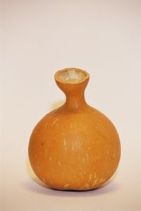 CalebasseFali.JPG