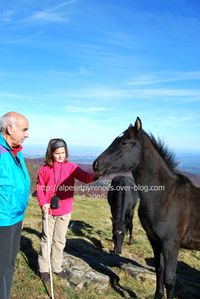 DSC 0119 copie