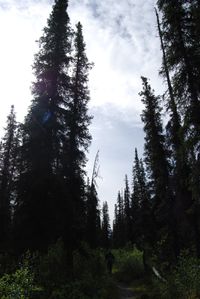 8-Alaska 0143