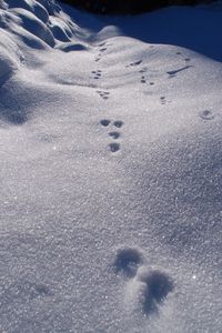 2011-12-28 Charousse 04