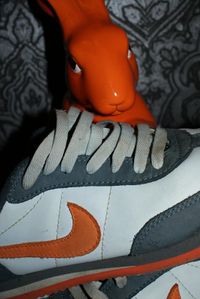 lapine.jpg