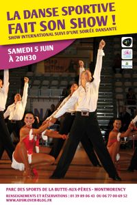 affiche ADSM 2010 Vok (2)