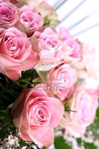 3070523-bouquet-de-roses-rose.jpg