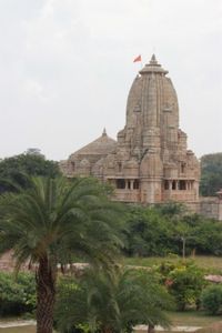 0254 Chittorgarh - Kumbha Shyam Temple
