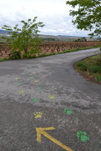 SANTIAGO-2014-0328.jpg