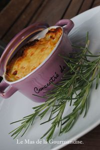 gratin D. romarin 1