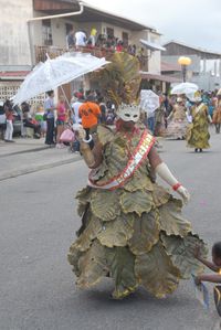 Carnaval-2013 9930
