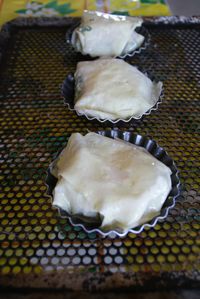 chevre epinard 003