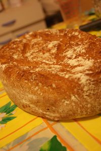 pain aux multiples farines cuit en cocotte 007