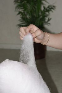 BARBE-A-PAPA-011.JPG