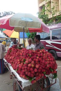 Galle vendeur de mangoustins (2)